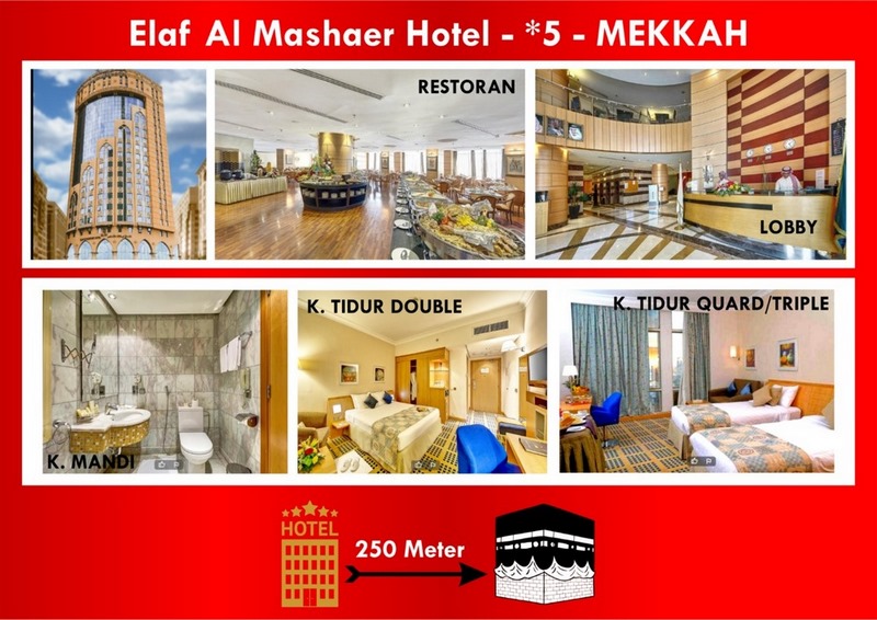 ELAF AL MASHAER/SETARAF  ELAF AL MASHAER/SETARAF