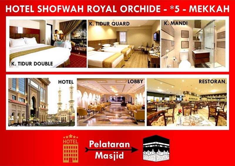 SOFWAH ROYAL ORCHID/SETARAF  SOFWAH ROYAL ORCHID/SETARAF